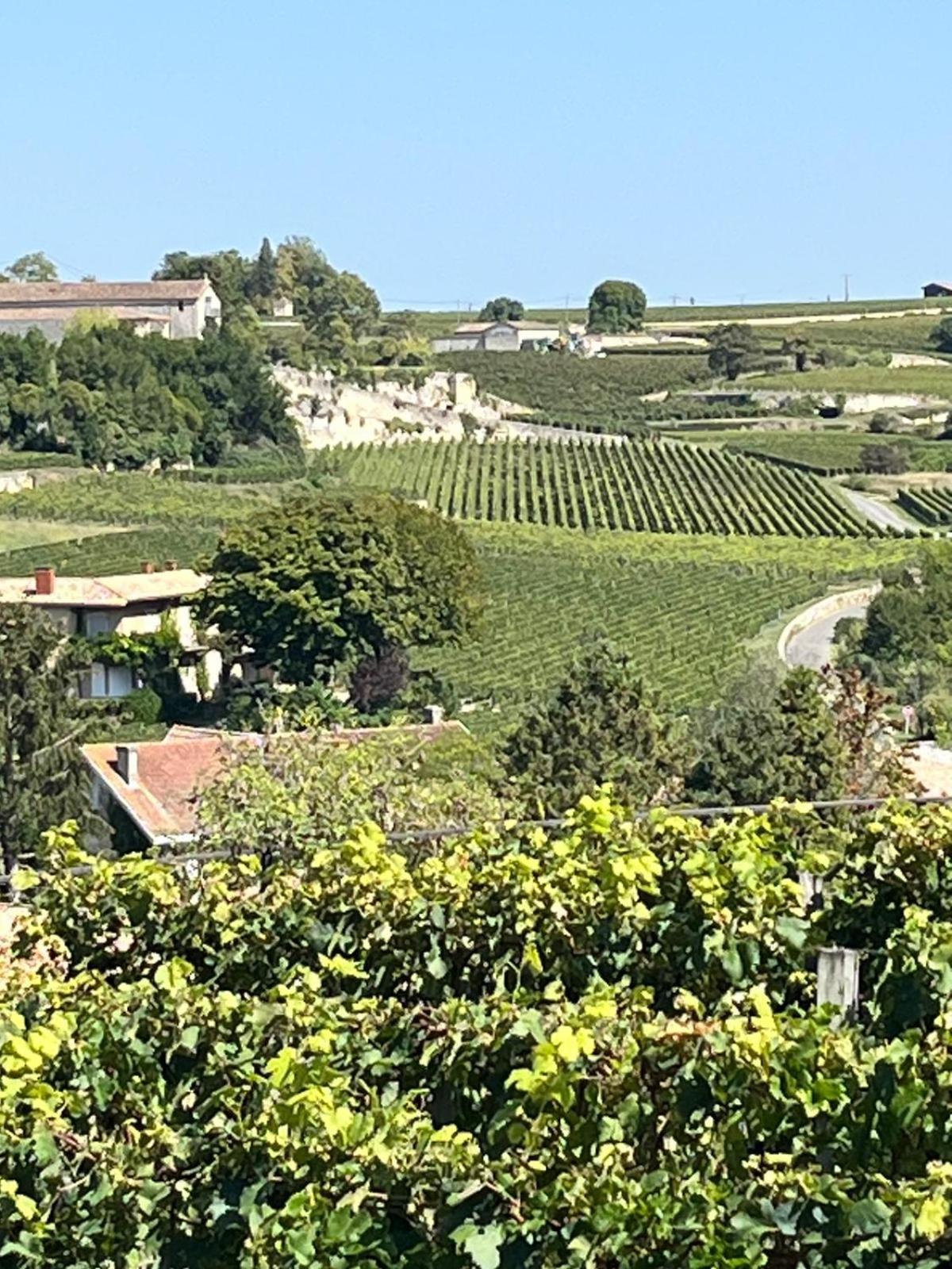 Les Logis Des Vignobles Sainte Emilion En Duplex N 3 Avec Terrasseアパートメント エクステリア 写真